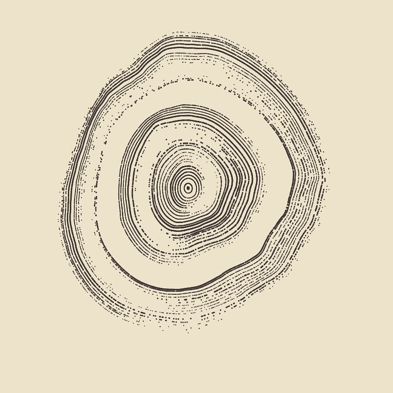 Radial Perlin Noise and Generative Tree Rings