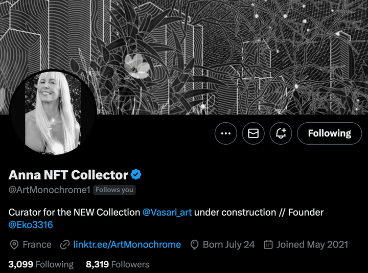 A conversation with Anna the NFT collector